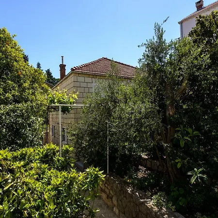 Pavlina דירה